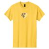 Heavy Cotton 100% Cotton T Shirt Thumbnail